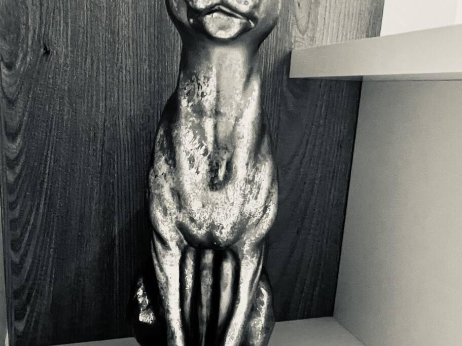 Oespede Lara Malpica De Bergantinos-Costa Da Morte المظهر الخارجي الصورة